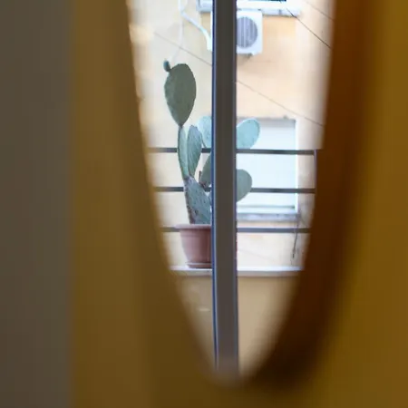 Cactus Cozy Tirana