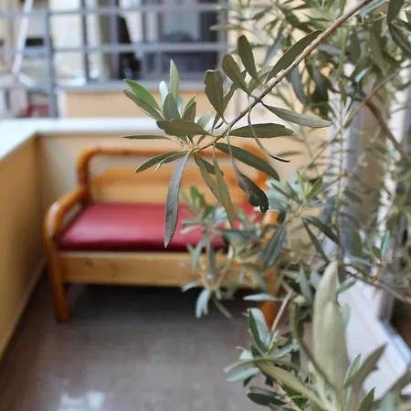 Cactus Cozy Apartament