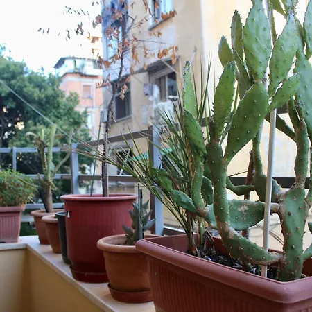 Apartament Cactus Cozy *